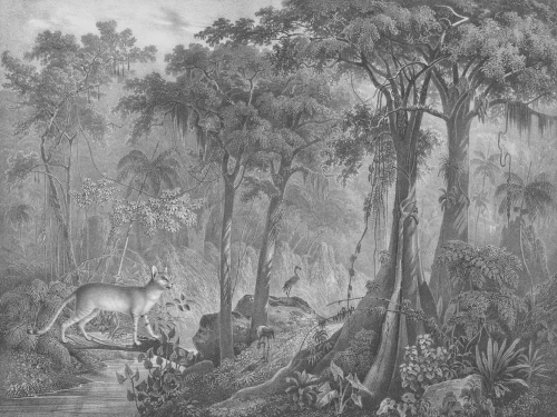 Wizualizacja muralu Jungle Cat.webp