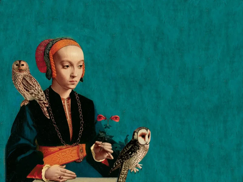 Wizualizacja muralu ściennego Owl Lady.webp