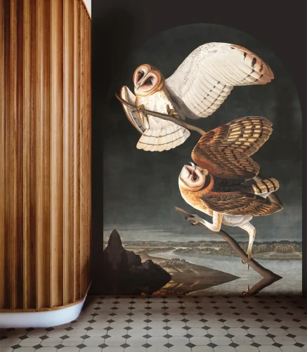 Tapeta do przedpokoju mural Owls.webp