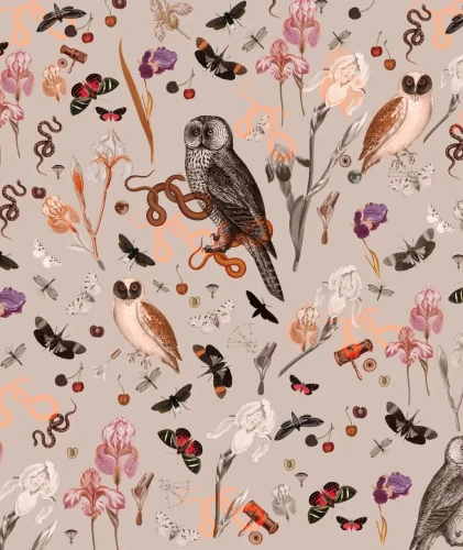 Tapeta Pink Owls.webp