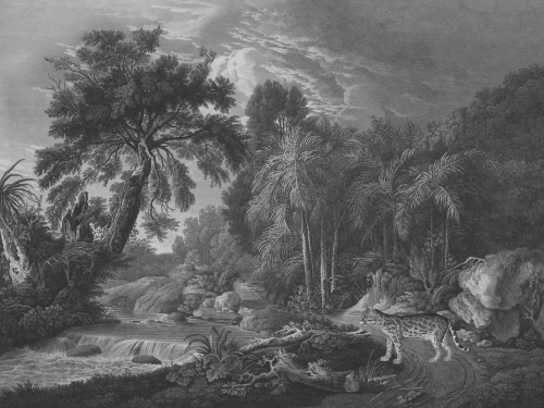 Mural egzotyczny Ocelot.webp