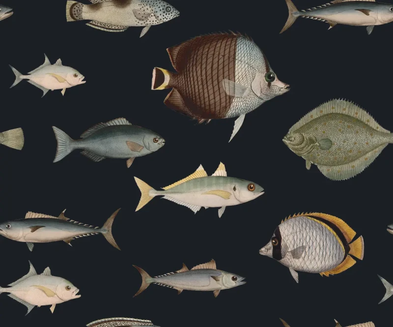 Tapeta marynistyczna Under the Sea.webp