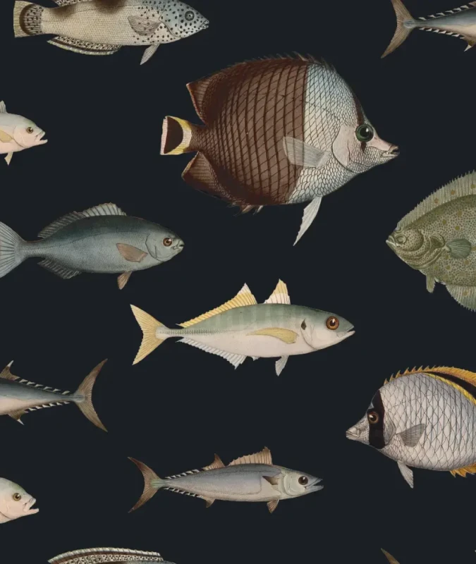 Tapeta Under the Sea.webp