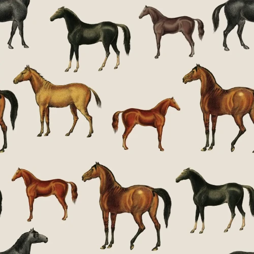 Tapeta Horses Beige.webp