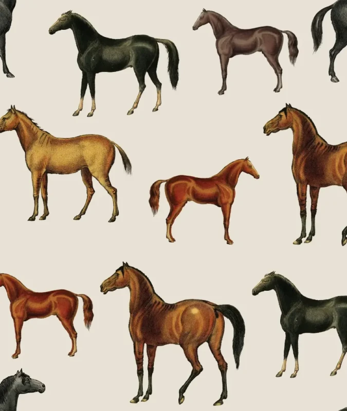 Tapeta w konie Horses Beige.webp