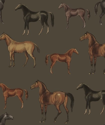 Tapeta Horses olive.jpg