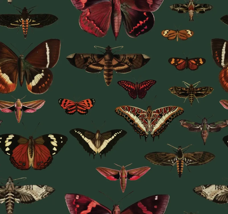 Zielona tapeta z motylami Butterflies Vert.webp