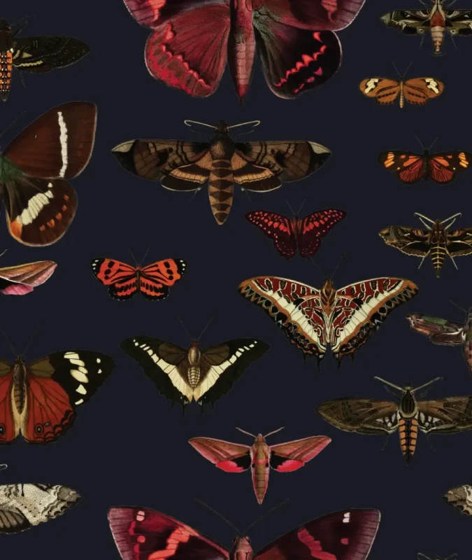 Tapeta z motylami Butterflies Navy Blue.webp