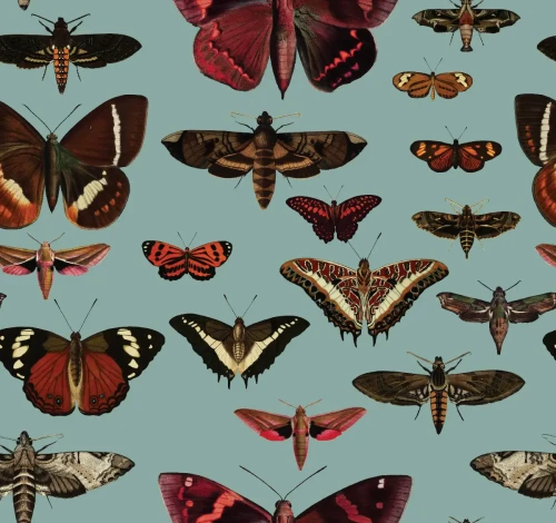 Turkusowa tapeta z motylami Butterflies Turquoise.webp