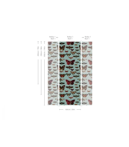 Wymiary tapety Butterflies Turquoise.webp