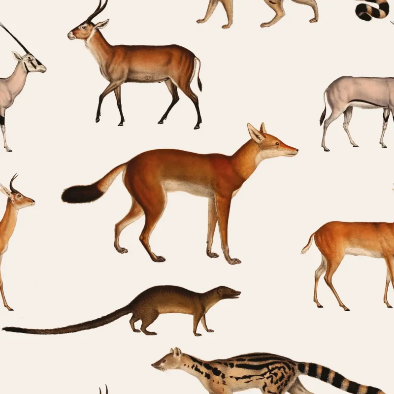 Tapeta ze zwierzętami leśnymi Forest Animals.webp