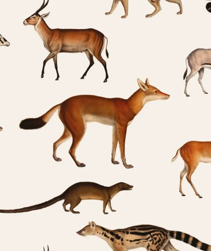 Tapeta z leśnymi zwierzętami Forest Animals.webp
