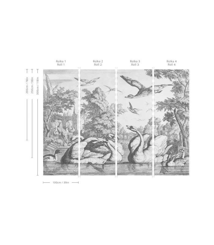 Wymiary tapety White Swans.webp