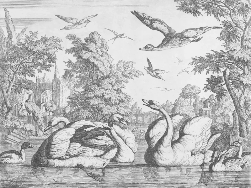 Tapeta czarno-biała White Swans.webp