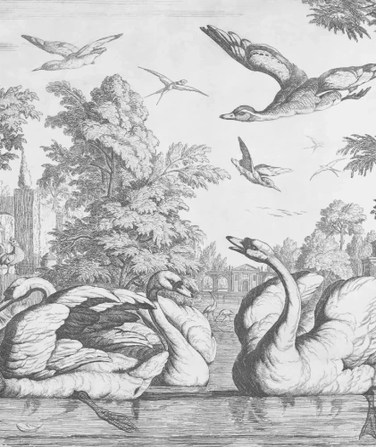 Tapeta z łabędziami White Swans.webp