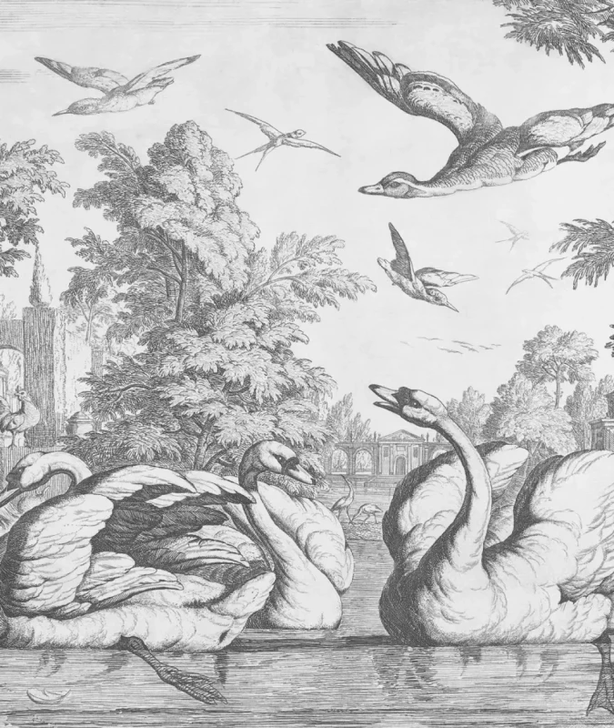 Tapeta z łabędziami White Swans.webp