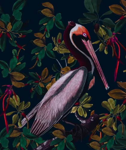 Tapeta z egzotycznym ptakiem Night Pelicans.webp