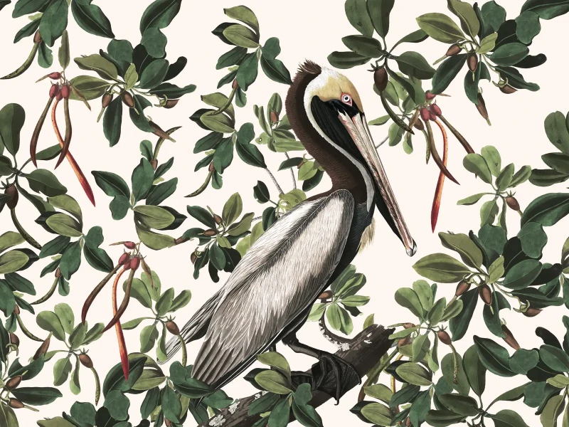 Tapeta z egzotycznym ptakiem mural Spring Pelicans.webp