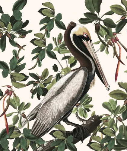 Tapeta botaniczna Spring Pelicans.webp