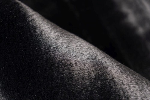 Zbliżenie runa czarnego dywanu okrągłego pluszowego Lalee Hides Heaven HEA 800