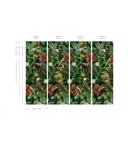 Wymiary tapety Dark Colors.webp