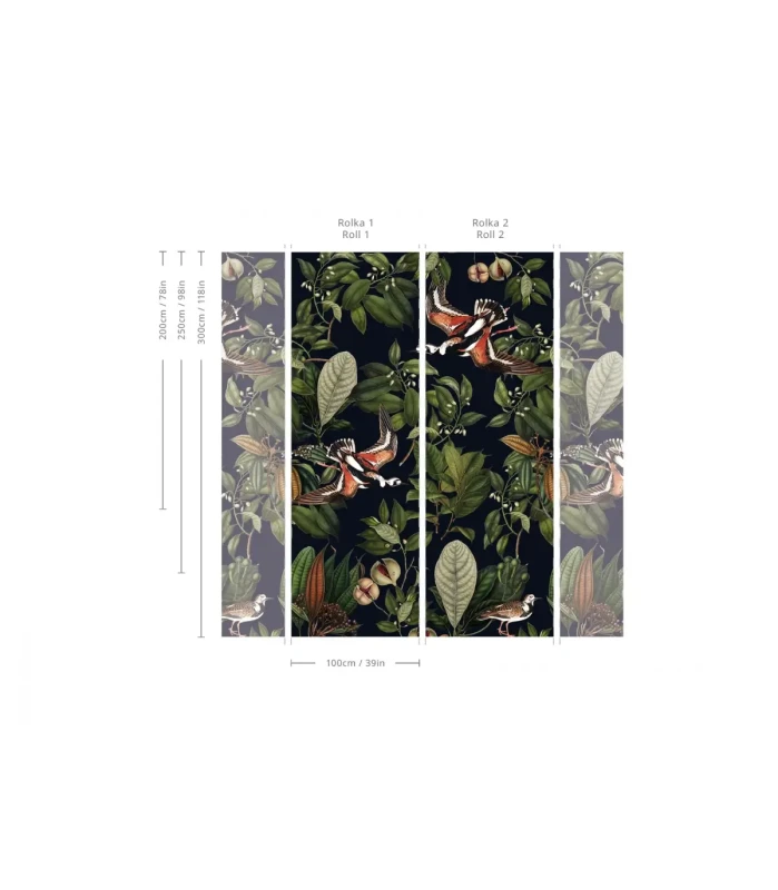 Wymiary tapety Orange Bird.webp