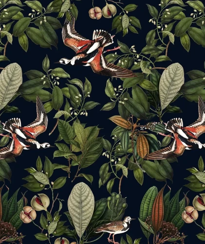 Tapeta Orange Bird.webp