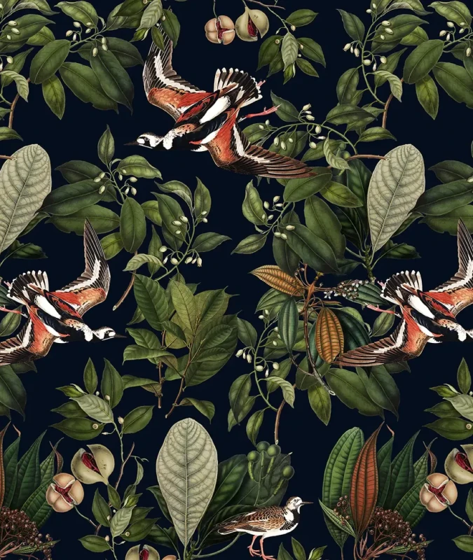 Tapeta Orange Bird.webp