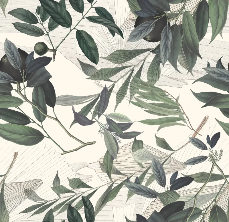 Tapeta gałązki oliwne Olive Branch White.webp