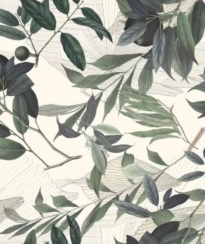 Tapeta gałązki oliwki Olive Branch White.webp
