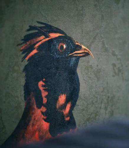 Tapeta Khaki detal.webp