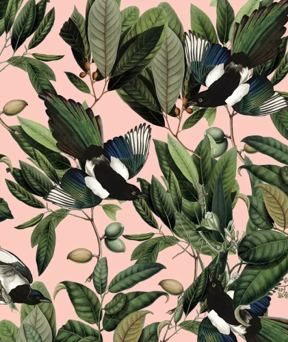 Różowa tapeta botaniczna Magpie Pink.webp