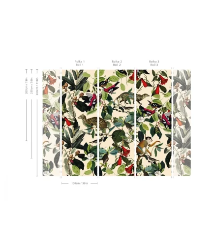 Wymiary tapety The Jungle Book.webp