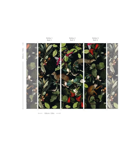 Wymiary tapety The Jungle Book Black.webp