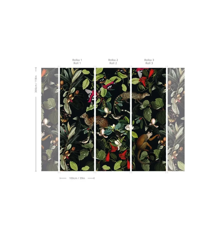 Wymiary tapety The Jungle Book Black.webp