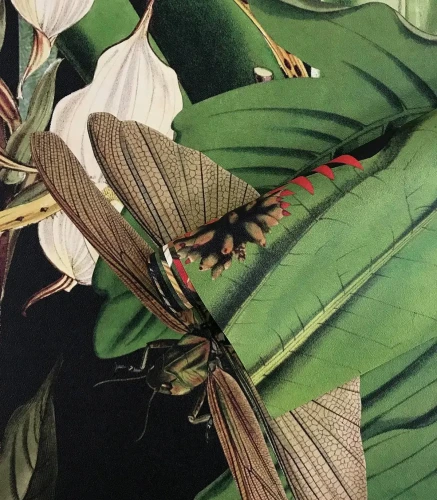 Zbliżenie na rolkę tapety Tropical Composition.webp