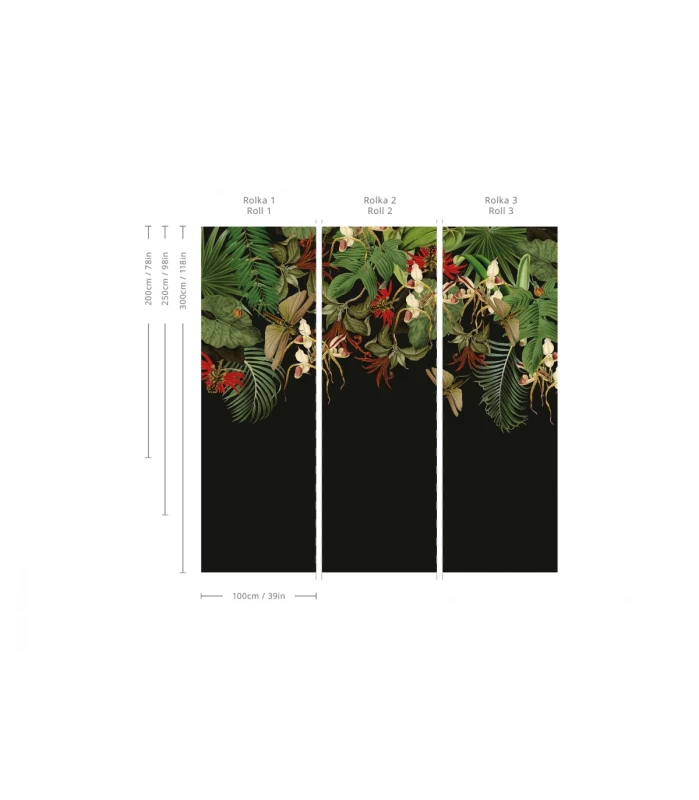 Wymiary tapety muralu Tropical Composition.webp