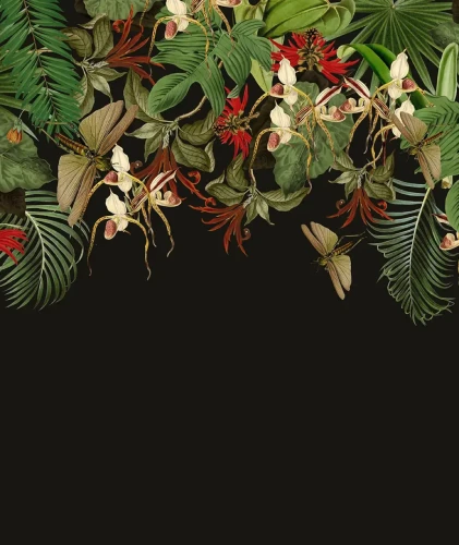 Tapeta roślinna czarne tło Tropical Composition.webp