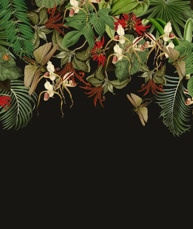 Tapeta roślinna czarne tło Tropical Composition.webp