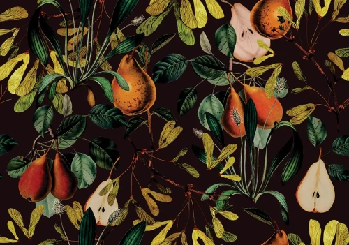 Tapeta motyw owoców Pear Maroon.webp