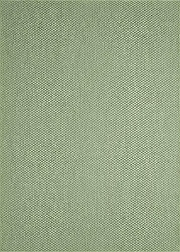 Dywan nowoczesny  zewnętrzny Maestro 22548 40 zielony