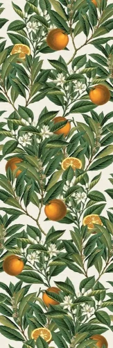 Tapeta z pomarańczami Orange tree.webp