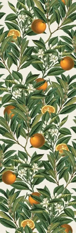Tapeta z pomarańczami Orange tree.webp