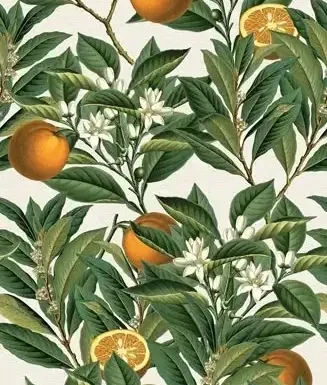 Tapeta Orange tree.webp