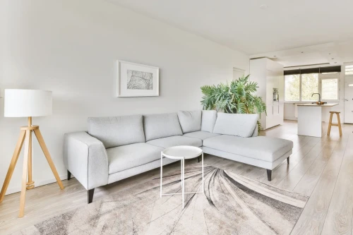 Aranżacja salonu z dywanem nowoczesnym FD Lush Lilim popiel (binding)