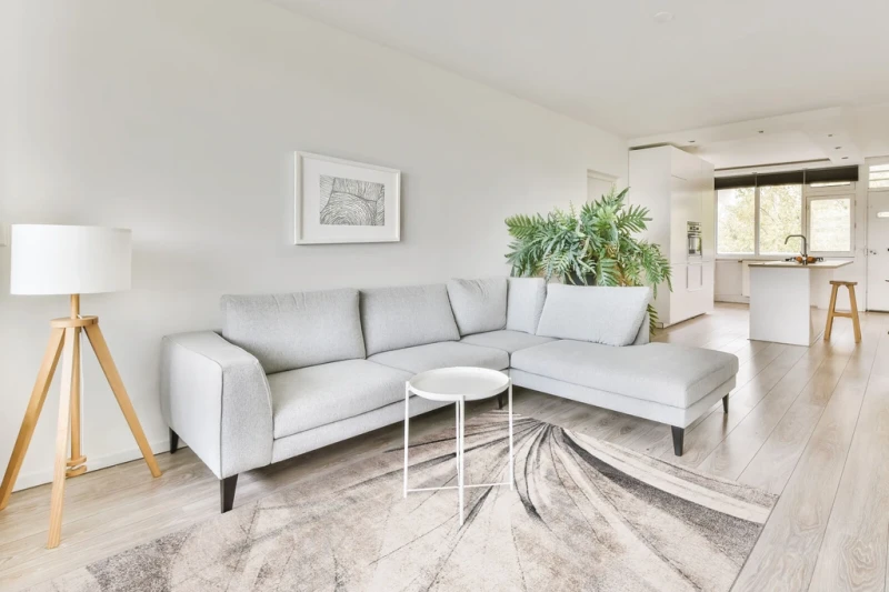 Aranżacja salonu z dywanem nowoczesnym FD Lush Lilim popiel (binding)