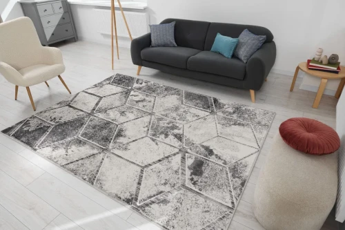 Salon z dywanem nowoczesnym FD Sensi Sonna popiel