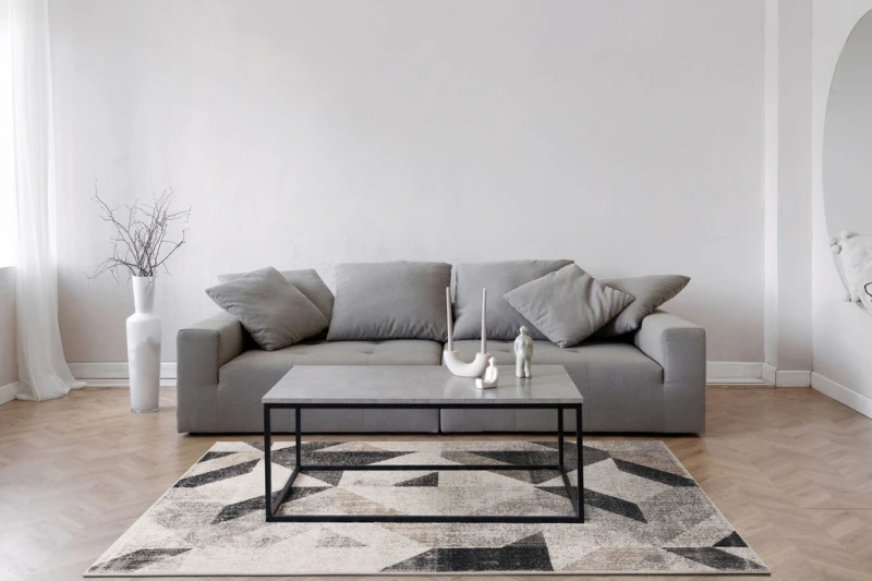 Salon z dywanem nowoczesnym FD Soft Halleby granit