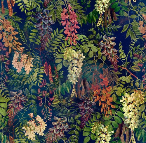 Ciemna tapeta z kwiatami akacji Acacia Dark Blue.webp