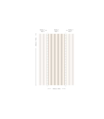 Wymiary tapety Bold Stripe Ash.webp